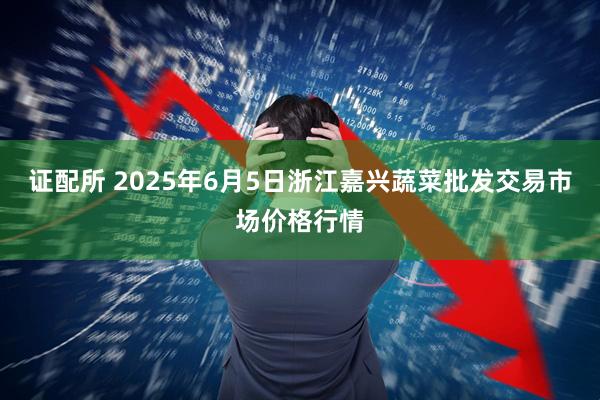证配所 2025年6月5日浙江嘉兴蔬菜批发交易市场价格行情