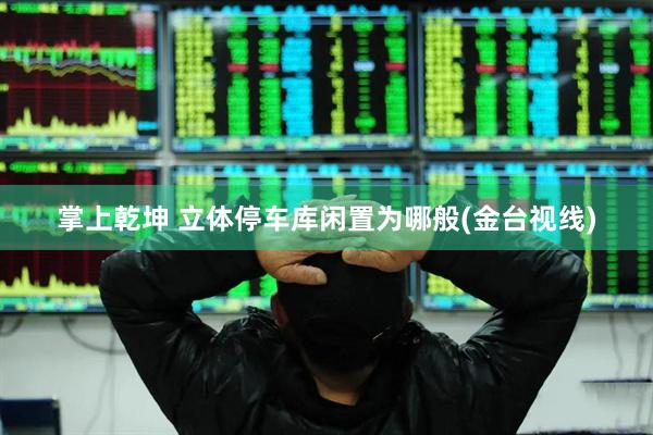 掌上乾坤 立体停车库闲置为哪般(金台视线)