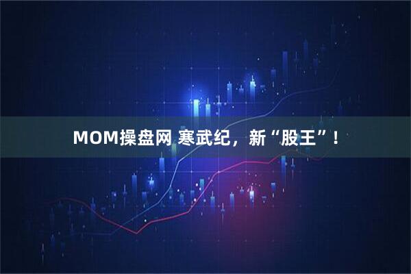 MOM操盘网 寒武纪，新“股王”！