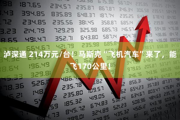 泸深通 214万元/台！马斯克“飞机汽车”来了，能飞170公里！